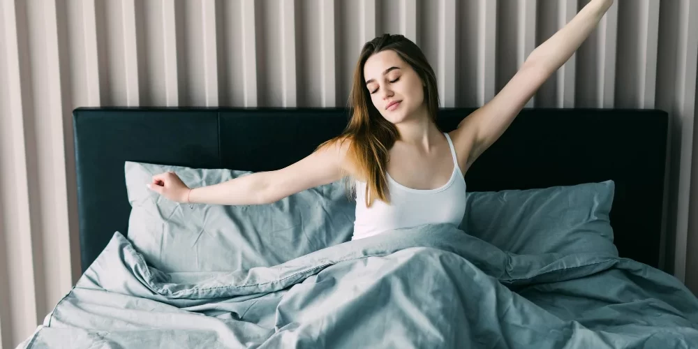 Colchón de Firmeza Media para la Lumbalgia Colchón de Firmeza Media para la Lumbalgia